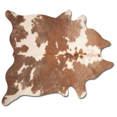 Palacedesigns 0.25 x 6 x 7 in. Kobe Cowhide Rug  Brown &amp; White PA3090792